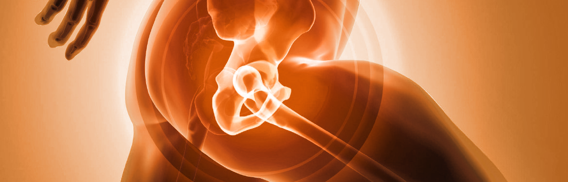 Hips banner Image
