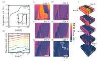 S. D. Seddon, C. R. S. Haines, T. P. A. Hase, M. R. Lees, L. M. Eng, M. Alexe, M. A. Carpenter, Ferroelastic control of magnetic domain structure: Direct imaging by magnetic force microscopy, Physical Review B 110, L060404 (2024).