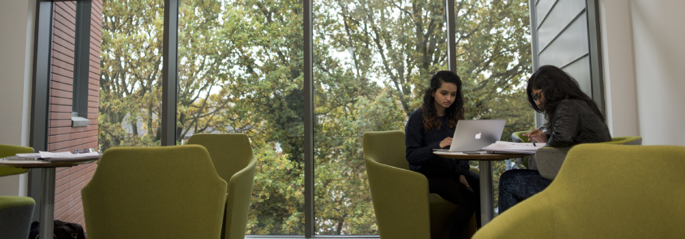 Students studying on campus
