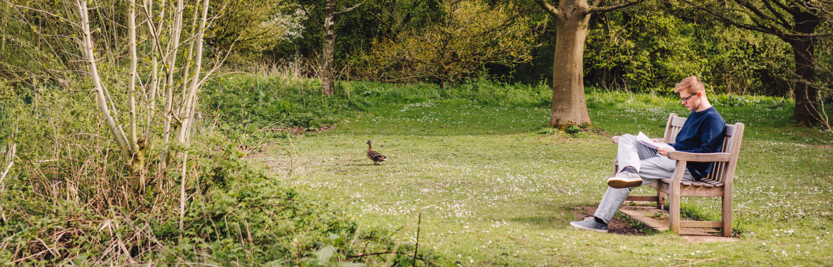 an image of students in the green spaces on campus