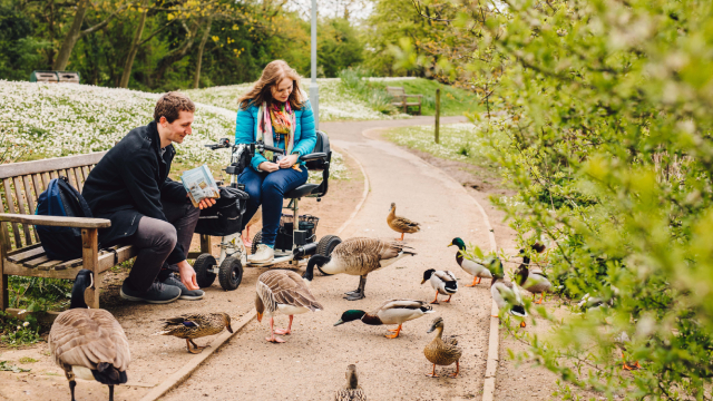 Students feeding ducks